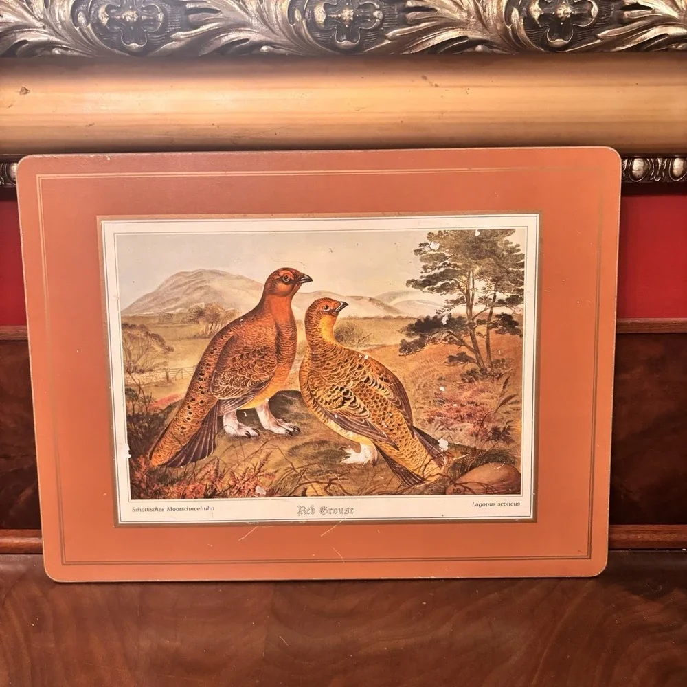 Vintage Pimpernel Red Grouse Cork Back Placemats Set‎ of 4 Wildlife Bird